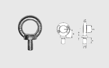 Forged Alloy Steel Eye Bolt